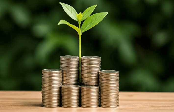 Moedas com planta